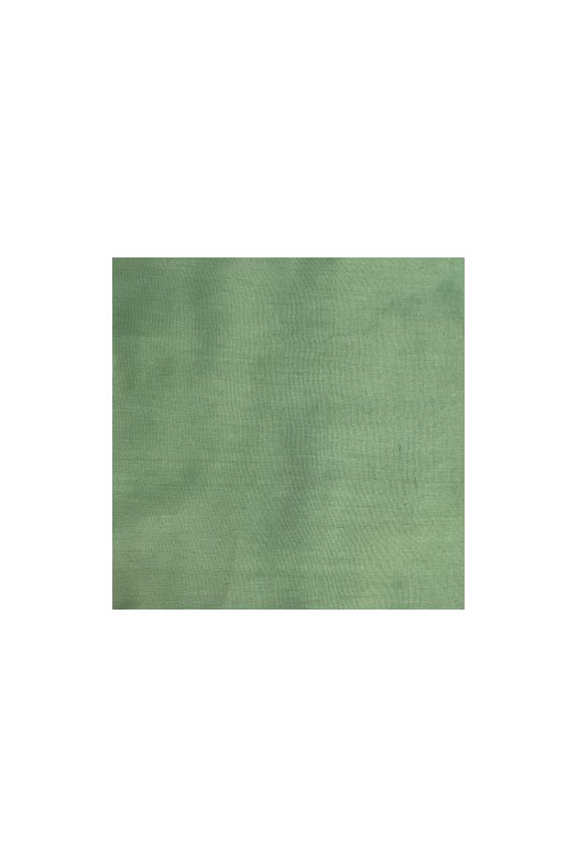 ΠΑΝΤΕΛΟΝΑ ΡΑΙΓΙΟΝ ΙΝΔ/ΣΙΑΣ